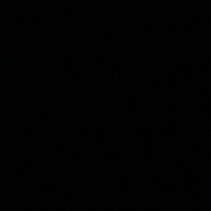 Meet your Posher, Evan